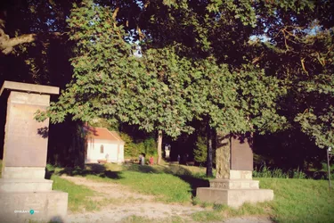 Teremtés Napjának Ünnepe