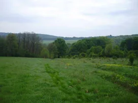 Hajagok vidéke borítóképe