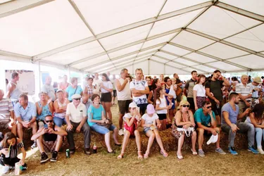 Bakonyi Vágta 2019