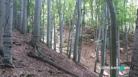 Kék-hegyi földvár sáncai borítóképe