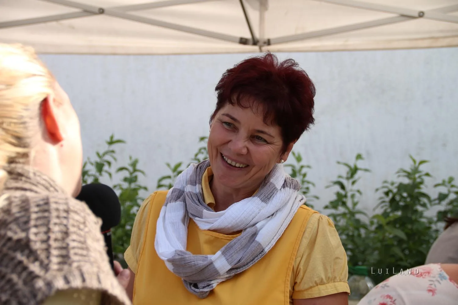 Pityóka Party, kora délután Fotó: BakonyiHirek 