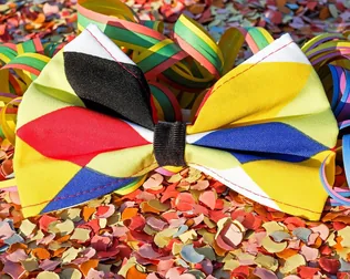 Farsang borítóképe