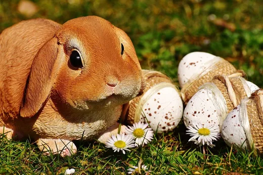 'Húsvéti köszöntő' cikk borítóképe