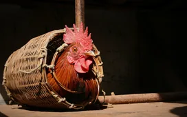 TÁPPONT Táp-és takarmánybolt borítóképe