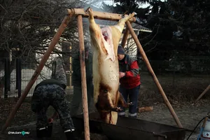 6. Falusi disznóvágás / Fotók: Útirány.hu