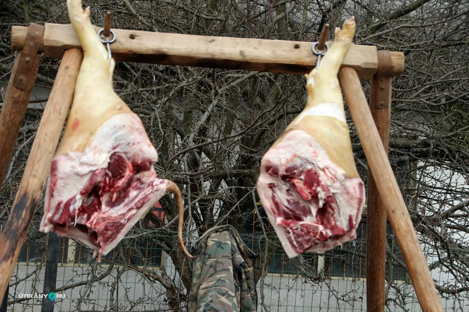 6. Falusi disznóvágás / Fotók: Útirány.hu