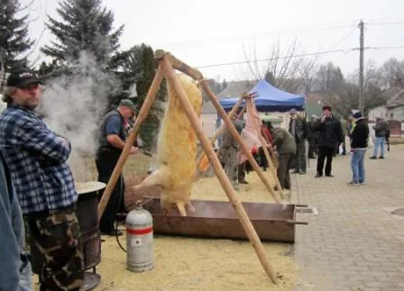 Fotók a disznóvágásról