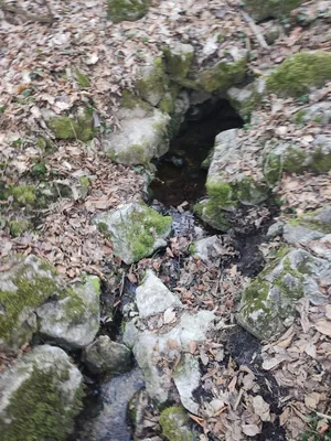 Képek 2025 Útirány.hu