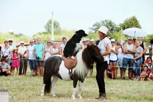 2019 Bakonyi Vágta. Fotók: Útirány.hu