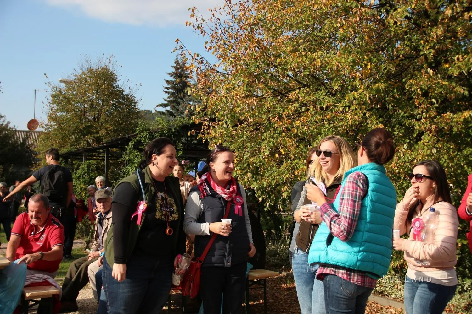 Pityóka Party, késő délután-este Fotó: BakonyiHirek