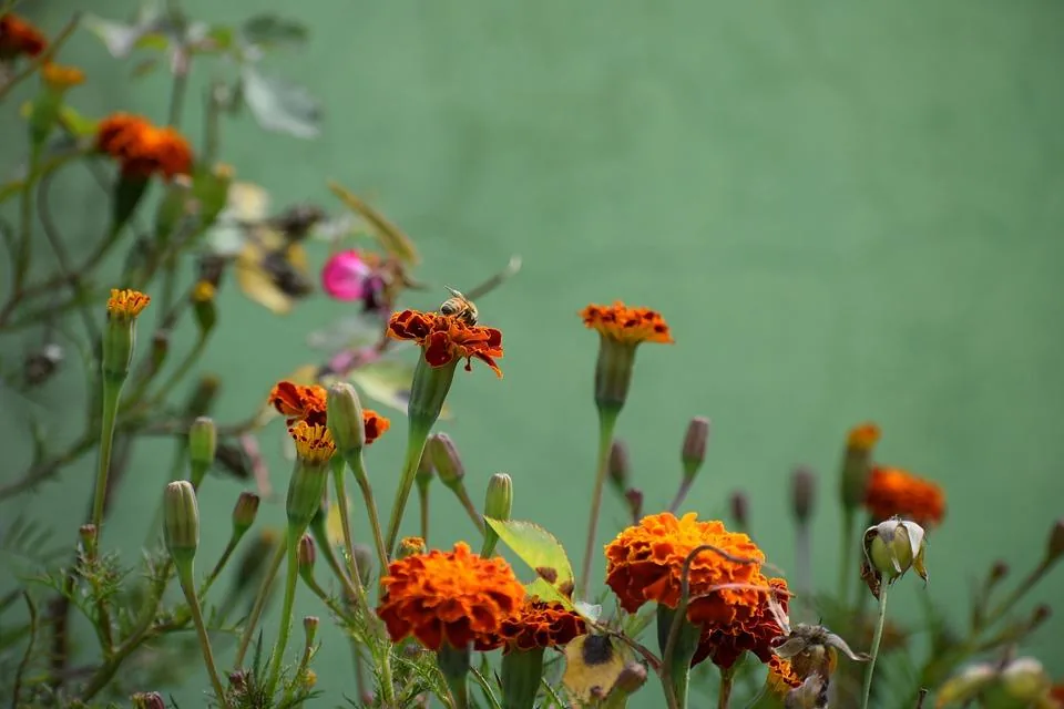 Kapcsolódó képek, hogy tudjuk, mire kellene vigyáznunk...