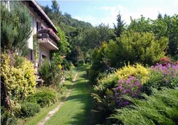 Adrienn Örökzöld Vendégháza borítóképe