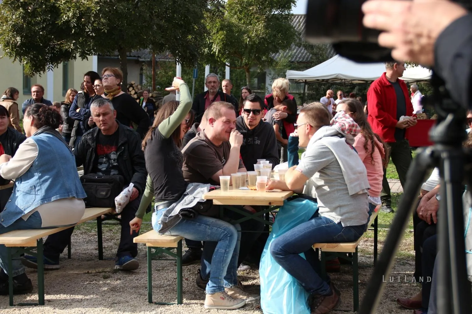 Kora délután, fotók: BakonyiHírek