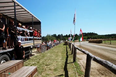 Bakonyi Vágta 2019