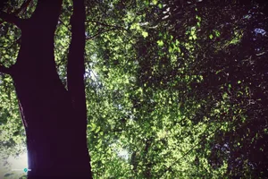 Teremtés Napja 2018. Fotók: Útirány.hu