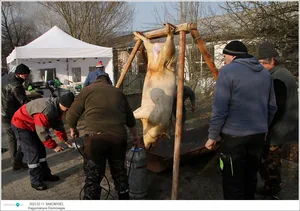 Fotók: Útirány.hu, Kiss Szabó Zoltán