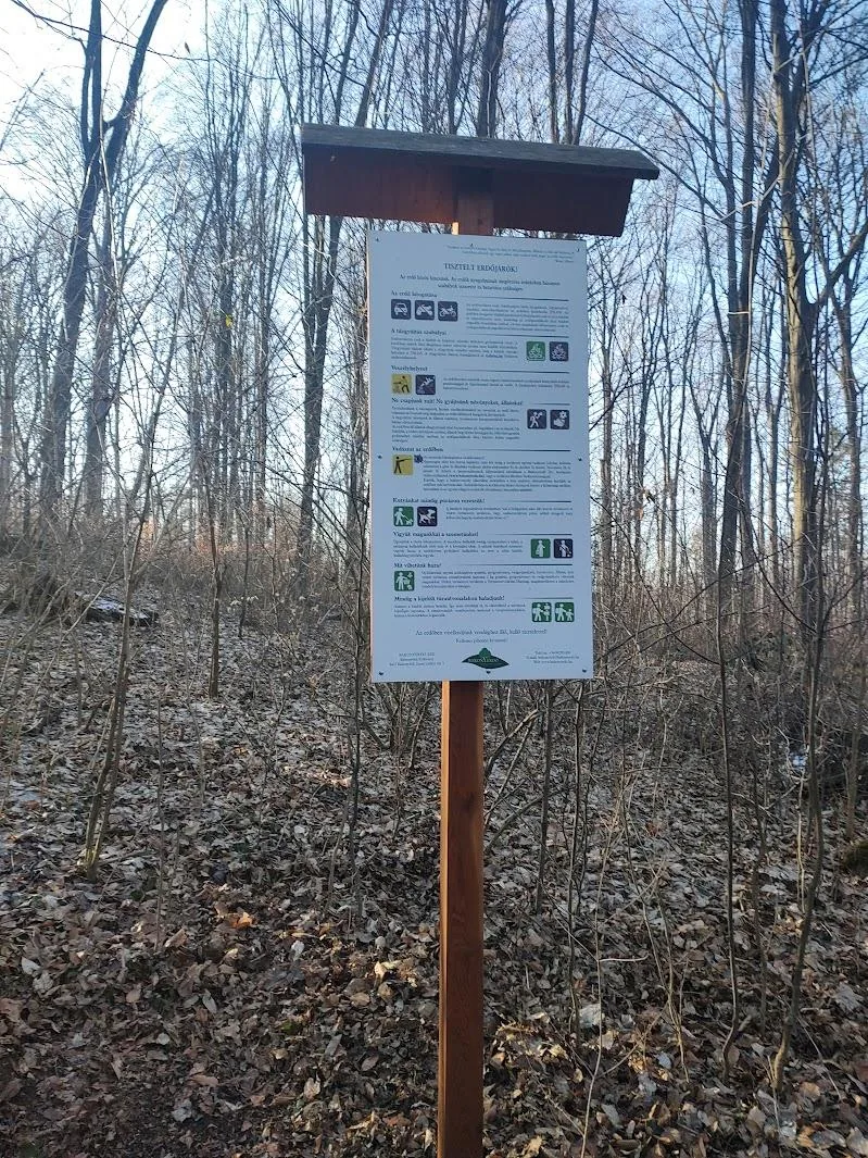 Képek 2025 Útirány.hu