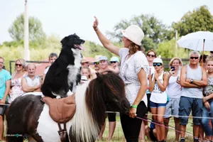 2019 Bakonyi Vágta. Fotók: Útirány.hu