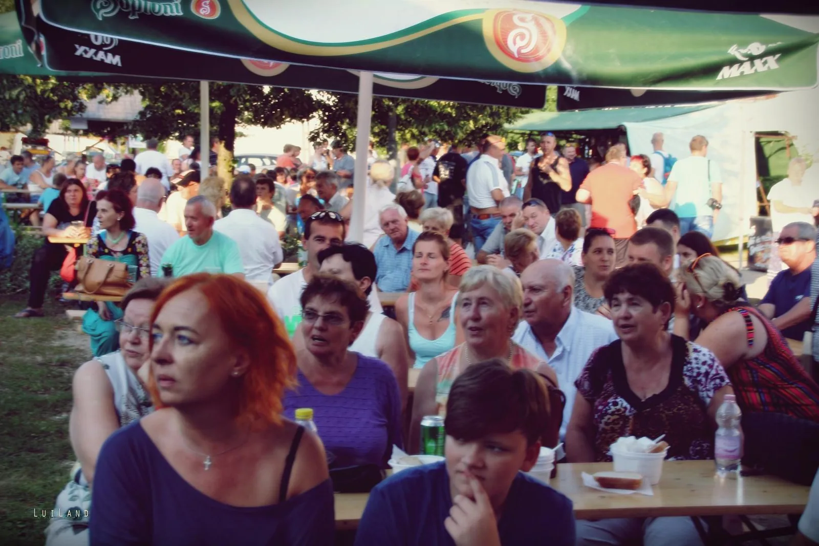 Millenniumi Falunap 2018, Képek: LuiLand