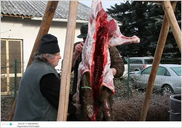 VIII. Bakonybéli Hagyományőrző Falusi Disznóvágás