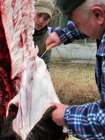 Fotók a disznóvágásról