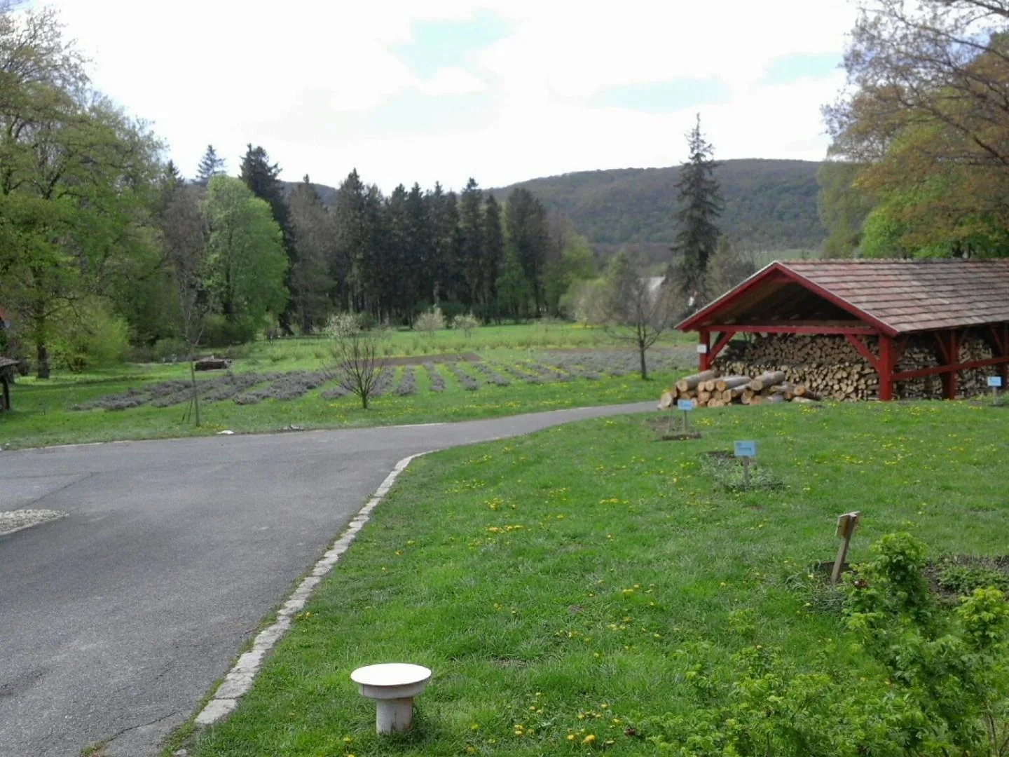 Monostor arborétum és kert