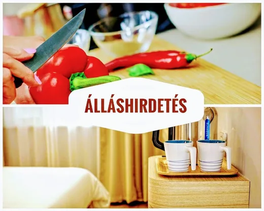 'Álláshírdetés' cikk borítóképe