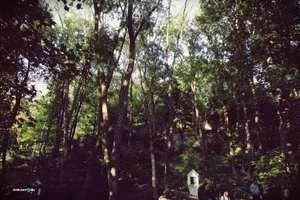 Teremtés Napja 2018. Fotók: Útirány.hu