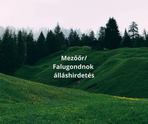 'Álláshirdetés' cikk borítóképe