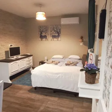 Vintage (6+2 fő) apartman