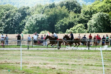 Bakonyi Vágta 2019