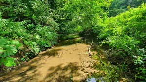 Fotók: Kapitány Gábor hadnagy, Vass Tamás főtörzsőrmester