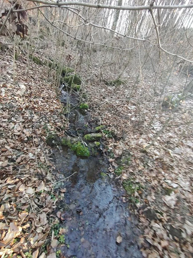 Képek 2025 Útirány.hu