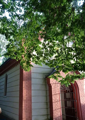 Képek a rendezvényről