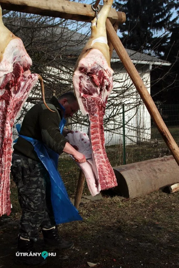 6. Falusi disznóvágás / Fotók: Útirány.hu