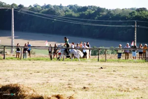 2019 Bakonyi Vágta. Fotók: Útirány.hu