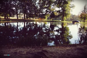 Teremtés Napja 2018. Fotók: Útirány.hu