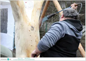 Képek a rendezvényről