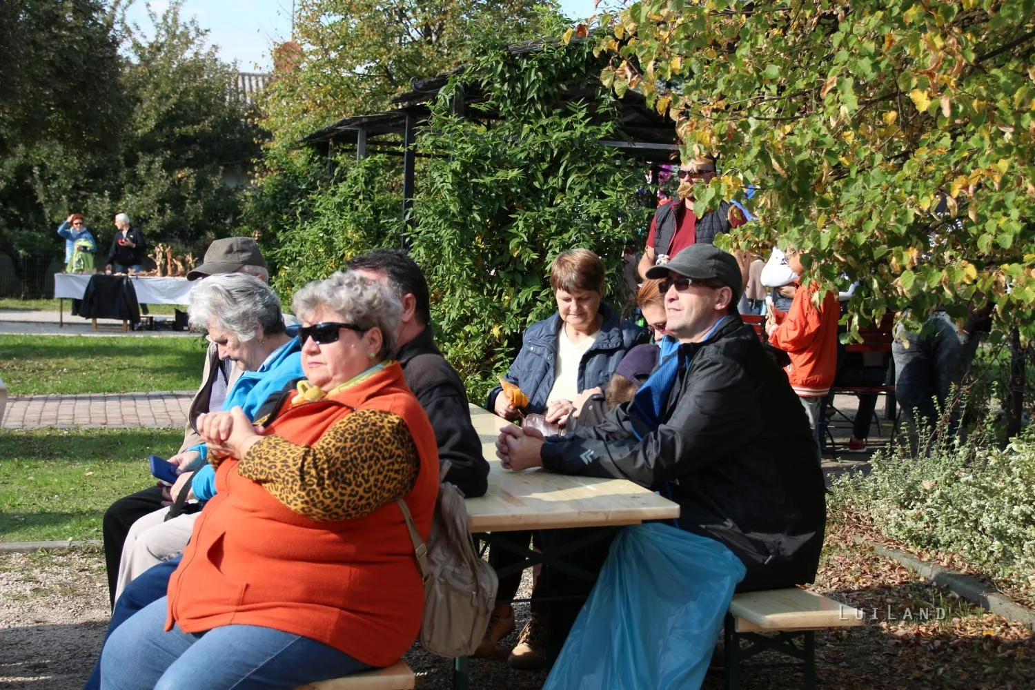 Pityóka Party, kora délután Fotó: BakonyiHirek 