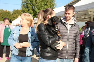 Pityóka Party, késő délután-este Fotó: BakonyiHirek