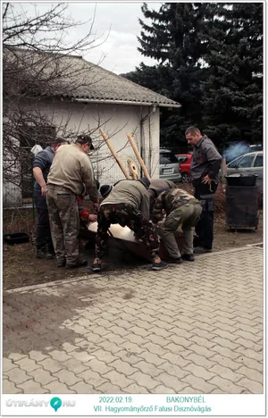 Fotók: Útirány.hu