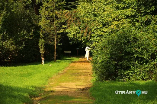 'Zirci Arborétum' cikk borítóképe