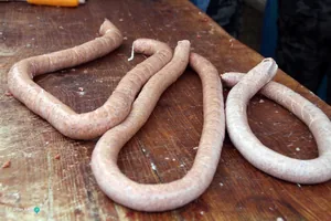 6. Falusi disznóvágás / Fotók: Útirány.hu