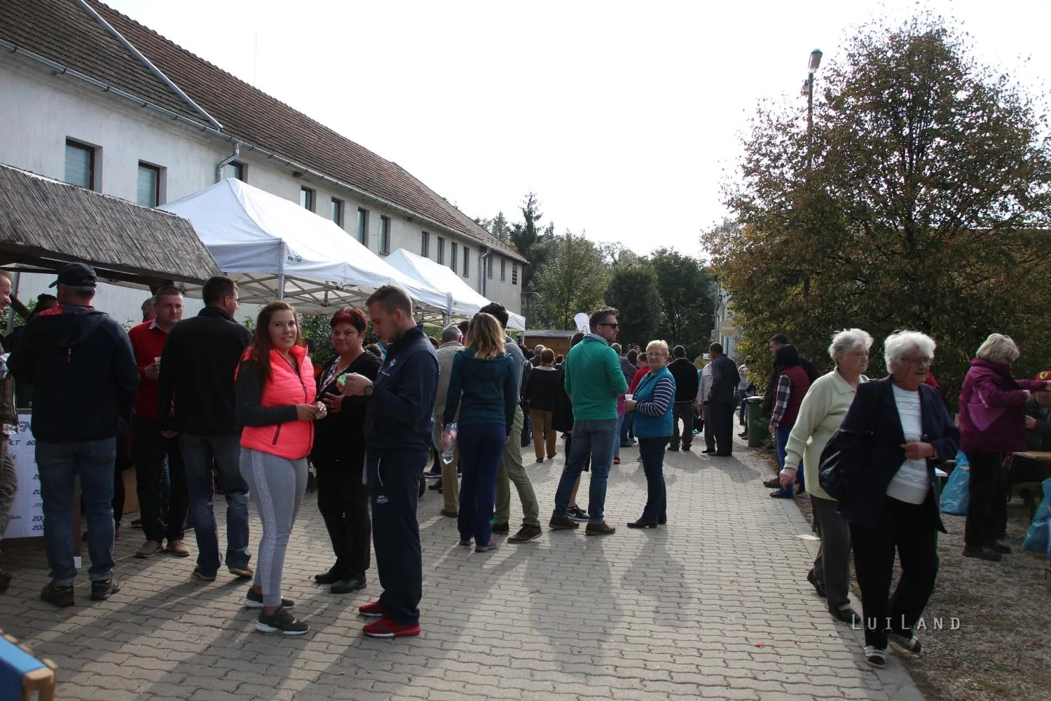 Pityóka Party, késő délután-este Fotó: BakonyiHirek