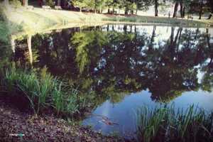 Teremtés Napja 2018. Fotók: Útirány.hu