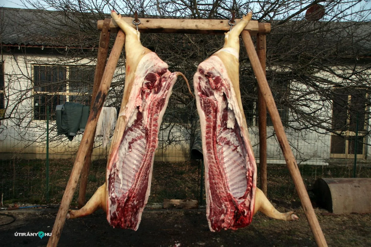 6. Falusi disznóvágás / Fotók: Útirány.hu