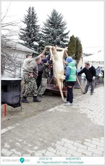 7. Bakonybéli Hagyományőrző Falusi Disznóvágás