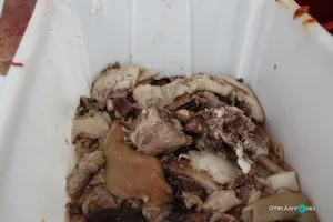 2018 Hagyományőrző disznóvágás. Fotók: Útirány.hu