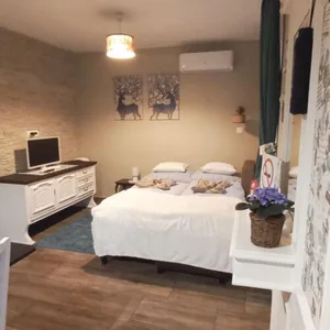 Vintage (6+2 fő) apartman