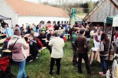12. Medvehagymás napok